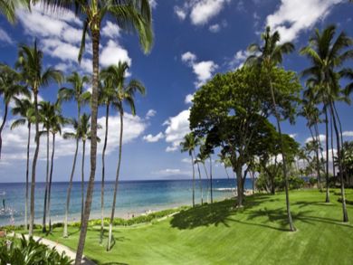 Ocean view